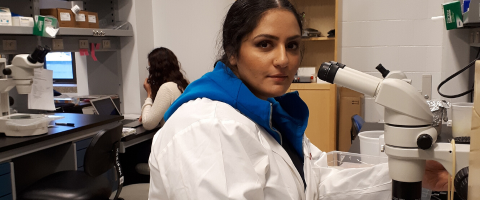 researcher sitting at a microscope in a lab coat
