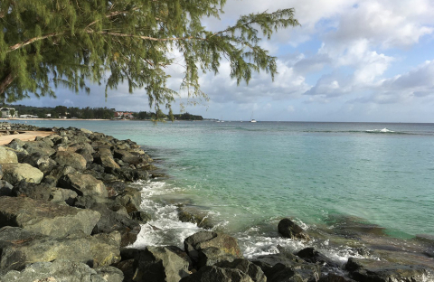 a shoreline in Barbados