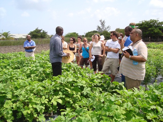 Students stand in a farm field listening to an instructor