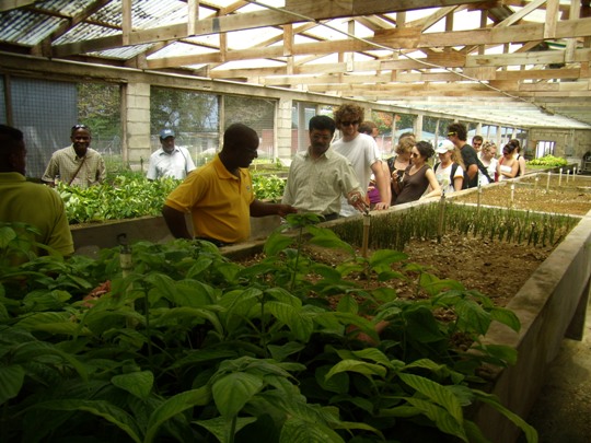 Students in a greenhouse