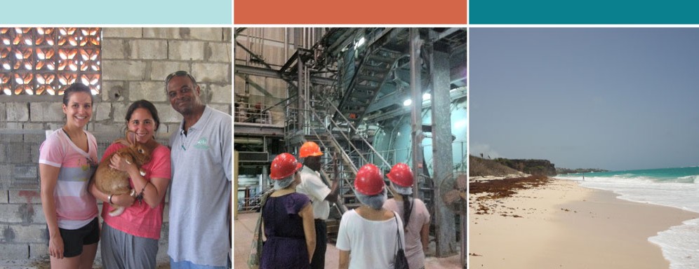 Three images: the first shows three people, one holding a rabbit; the second shows students exploring a factory in hardhats; the third shows a sandy beach with cliffs