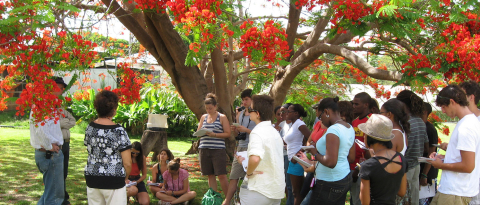 Students gathered around during the Barbados Interdisciplinary Field Studies session