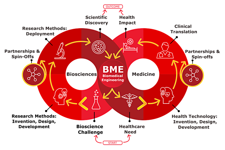 How BME is involved in innovating the improving health outcomes.