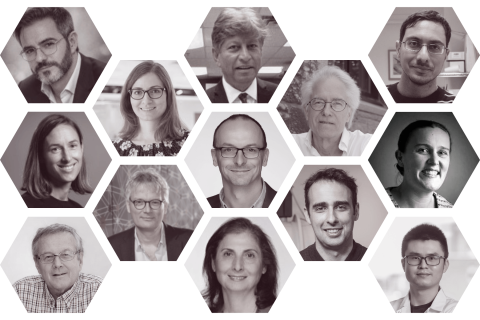 Mosaic of Biomedical Engineering Core Faculty Members