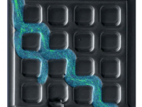 A molecular-motor-propelled agents in a nanofabricated network