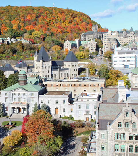 Arts building and mount royal in autumn