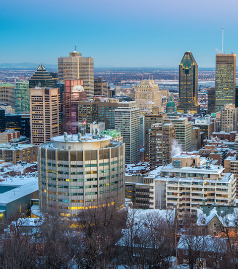 Aerial view of McIntyre medical building and Montreal