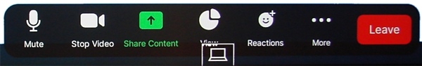 Display of Zoom Room control icons