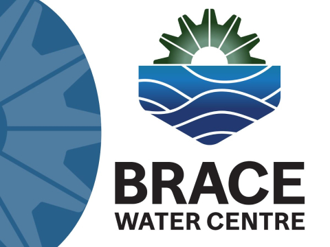 brace logo and blue circle with gear 