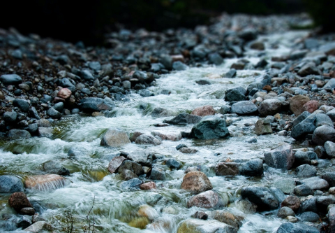 creek with stones and water tumbling over 
