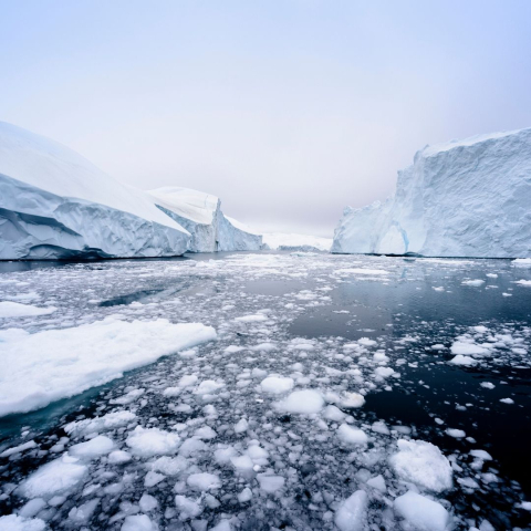 Arctic ice water with floating ice with purplish sky