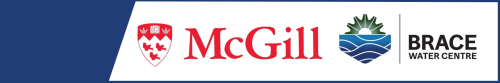 mcgill and brace logo