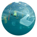 water with plastic bags and garbage in it