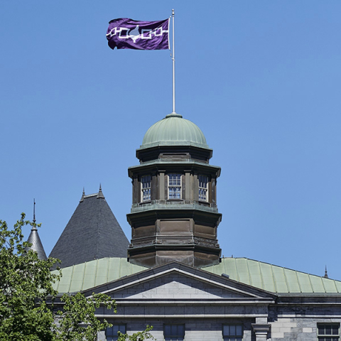 Indigenous flag at McGill