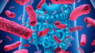 blue gut with red microbe cells