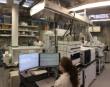 metabolomics center mcgill