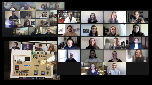 A screening shot of Zoom meeting of the Division of Cancer Epidemiology team while working from home, the safest option.