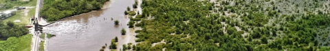overview of a flooded forest area and river