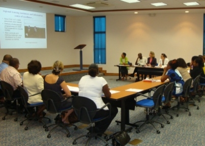 Canadian project co-ordinator Catherine Senecal presenting the CARIWIN project