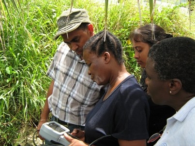 Staff from Hydromet Guyana and CIMH work the a multiparameter probe