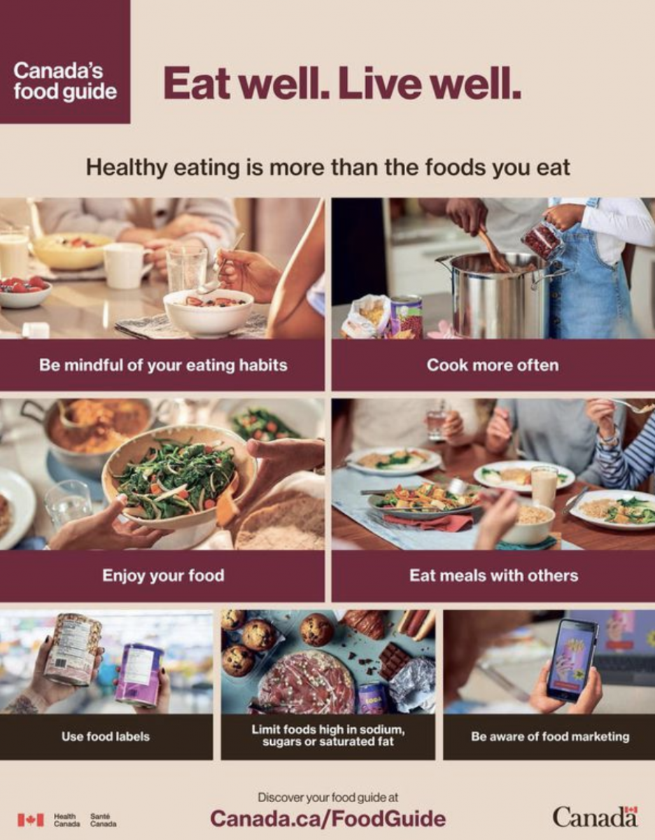 Experts New Canada S Food Guide Channels Mcgill University