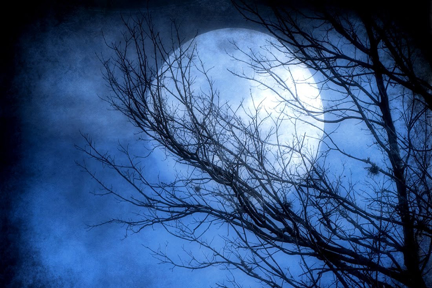 Image result for moonlight,nari