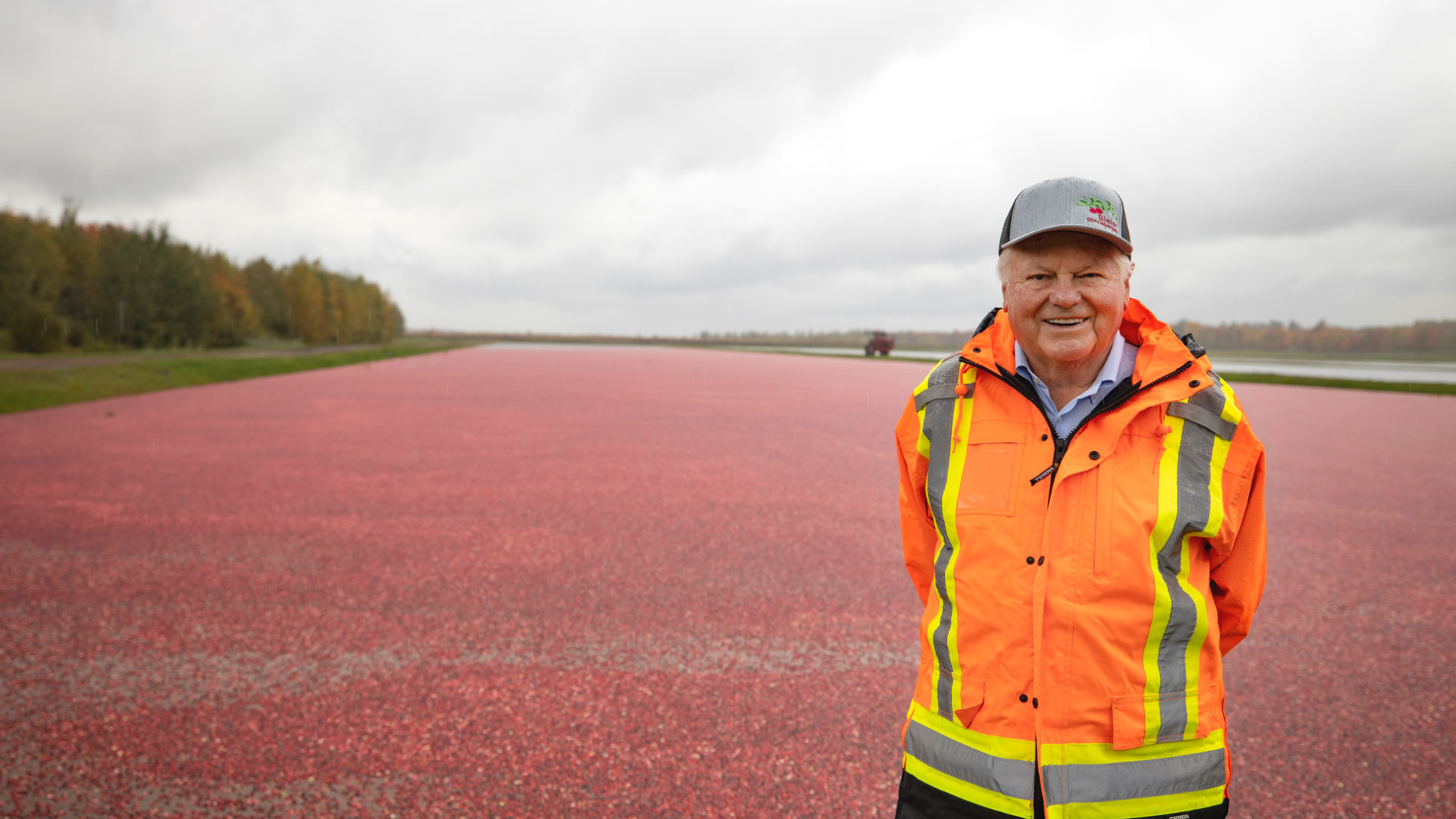 Marc Bieler in a field of cranberries