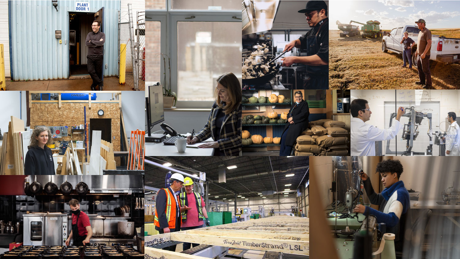 Photo collage of the PIVOT initiative