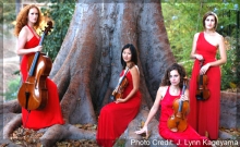 Cecilia Quartet - 1st prize winners at 2010 BISCQ