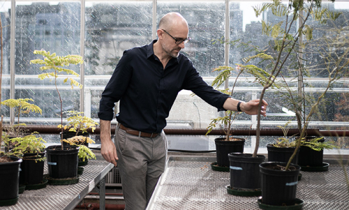 Professor Andrew Gonzalez examines a sapling