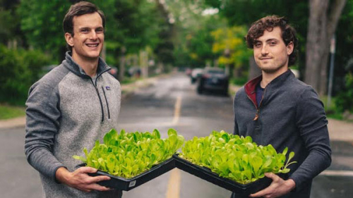 Tristan Zeman and Jonnie Lawson holding lettuce
