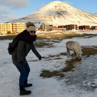 Lizz Webb approaches a reindeer in Longyearbyen