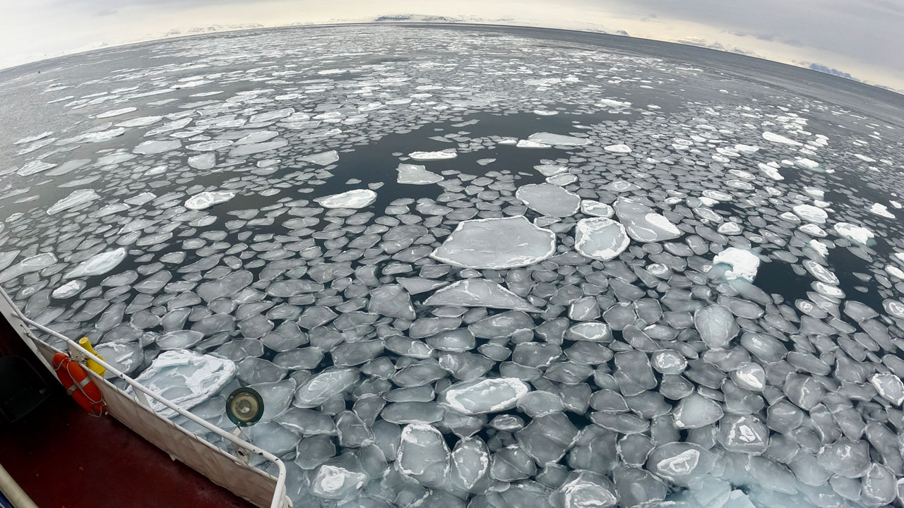 Floating sea ice on ocean currents