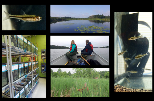 Chapman lab: photos combining laboratory experiment sand field surveys 