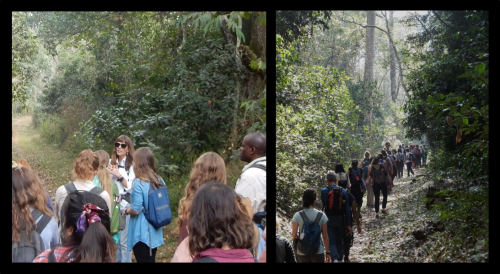 Lauren Chapman and students in a rainforest of Kibale National Park, Uganda