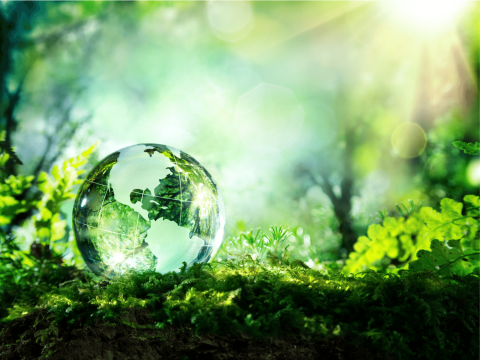 Green globe against green leafy background