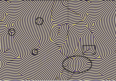 Numerically simulated nano-scale texture of a lamellar liquid 
