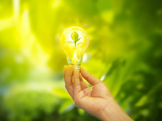Hand holding lightbulb against green background