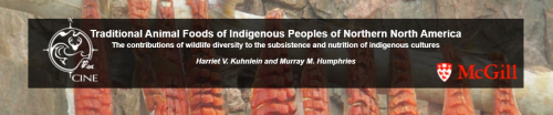 Traditional Animal Foods of Indigenous Peoples Ebook