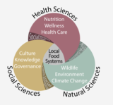 Local food systems Venn diagram (Health , Social and Natural science)