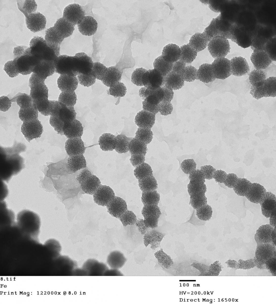 Environmental Engineering - Nanoparticles