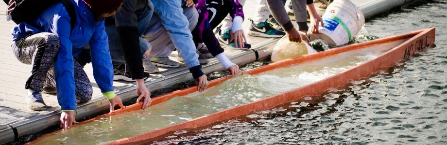 McGill Concrete Canoe | Civil Engineering - McGill University