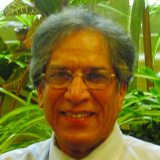 M. Saeed Mirza