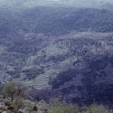 View from Andritsana (1966)