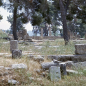 Temple of Hera (1964)