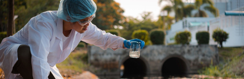 Researcher collecting water sample from river