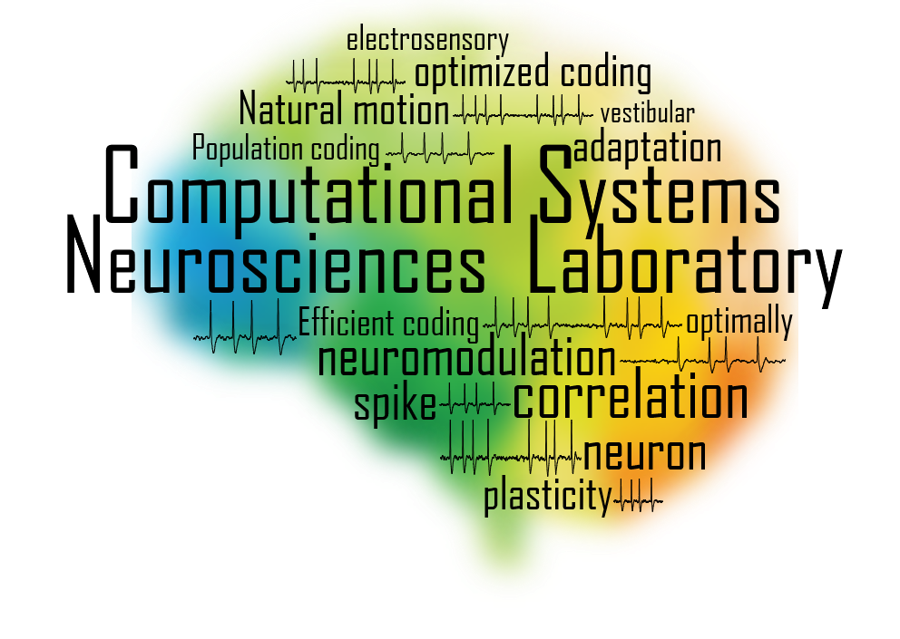 computational neuroscience research programs