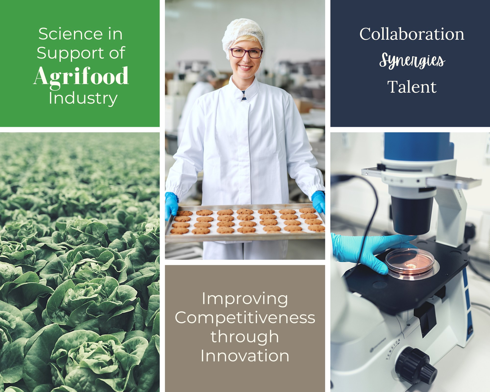 Science in Support of Agri-food Industry: Collaboration - Synergies - Talents