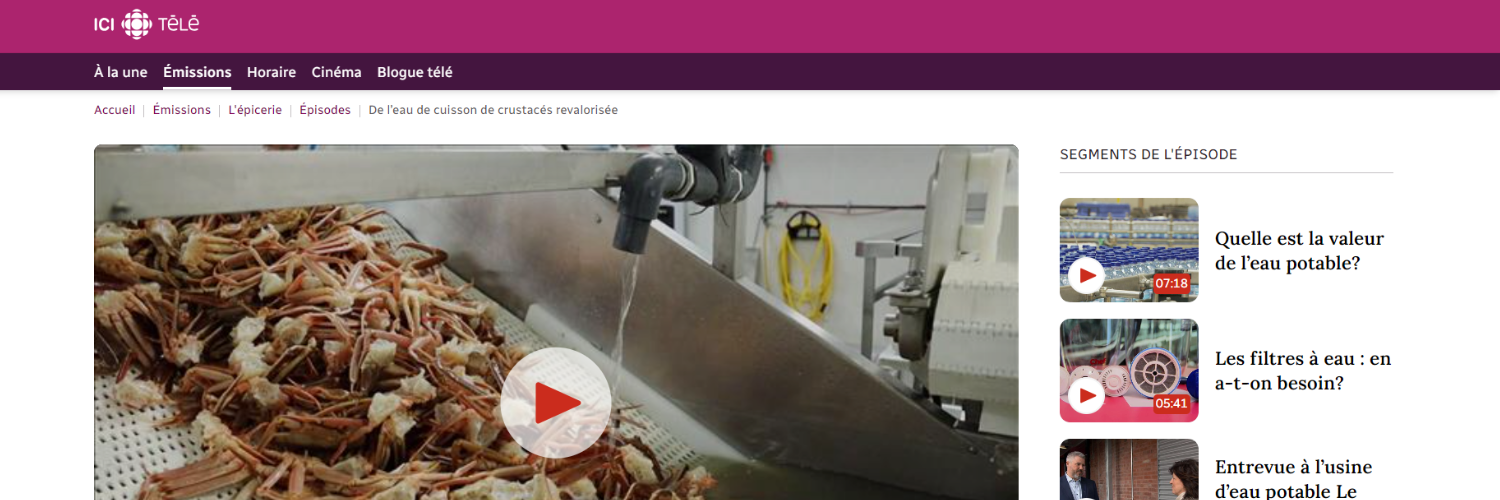 Capture d'écran du site de Radio-Canada affichant la vidéo