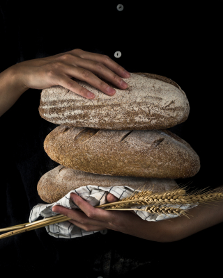 Fresh Bread Picture